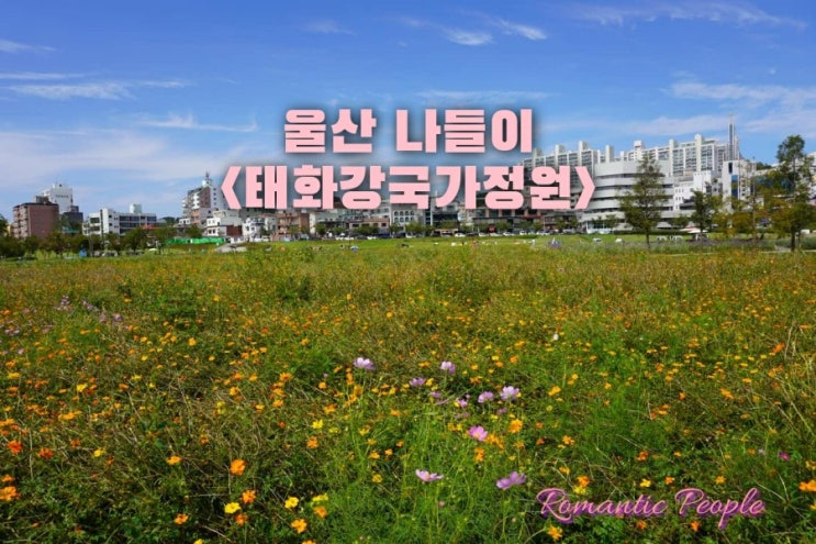 울산 나들이<태화강국가정원> 울산 나들이<태화강국가정원>
