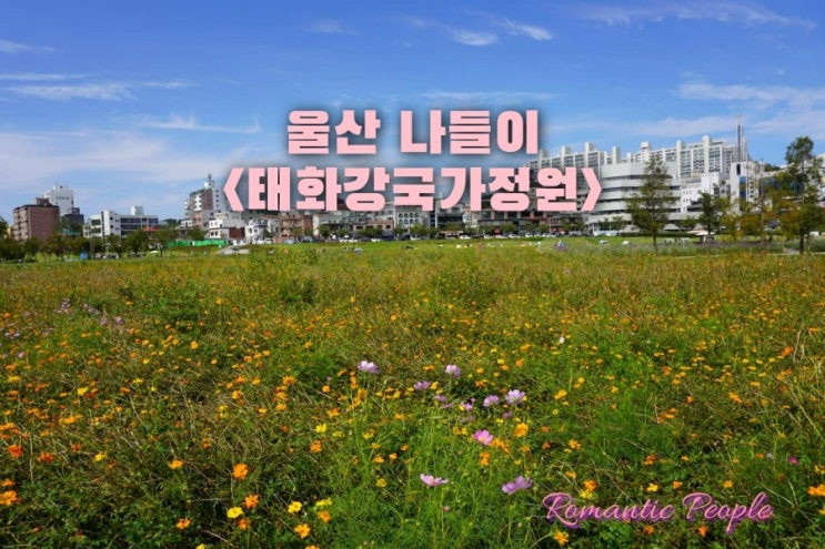 울산 나들이&lt;태화강국가정원&gt;