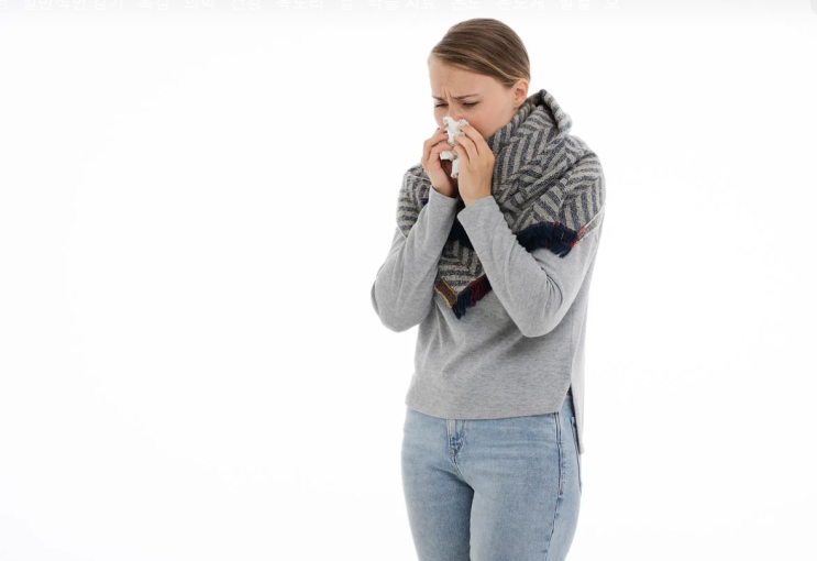 감기 코로나바이러스와 코로나19 바이러스 면역 세포 반응