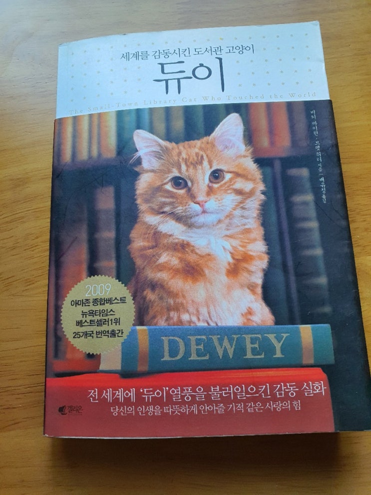  내 곁을 사수해 주는 면봉 받는 고양이 아루/세계를 감동시킨 도서관 고양이 듀이/냐옹신’ 나응식 원장이 고양이 마음을 속 시원히 해석해 준 책. 추천!