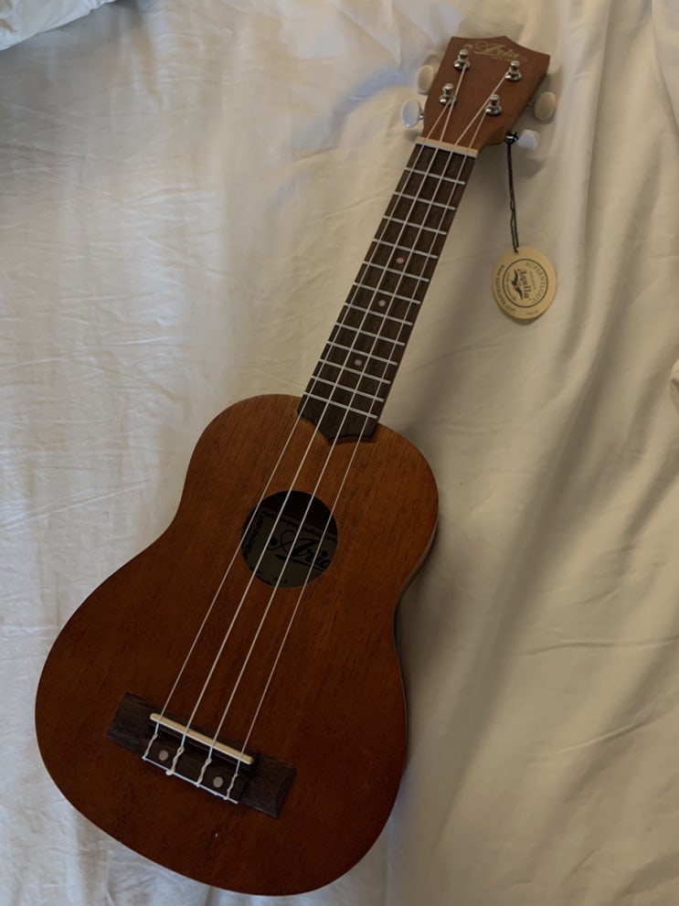 Ukulele