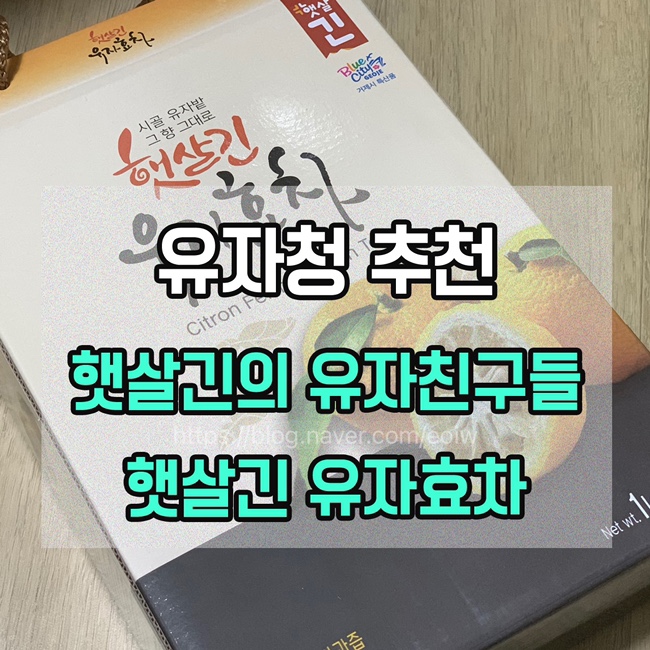  [유자청 추천] 햇살긴의 유자친구들, 햇살긴 유자효차