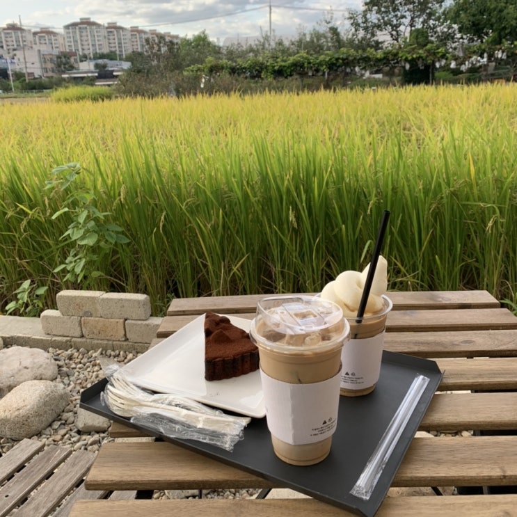  용인 구성커피로스터스, 애견동반가능 논뷰 카페