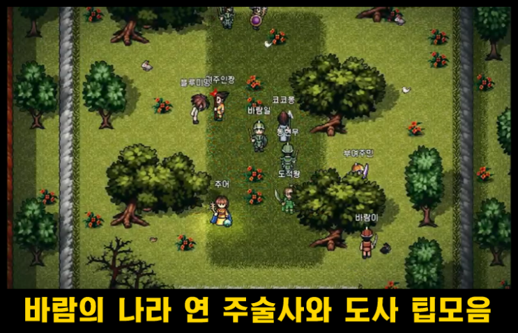 바람의 나라 연 주술사&도사 신수 공략 및 장비 팁