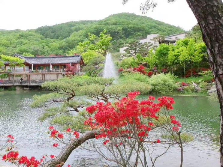  화담숲 모노레일타고 데이트해요/ 숲속에 홀딱 빠지다