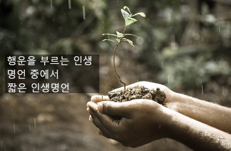  행운을 부르는 인생 명언 중에서 짧은 인생 명언
