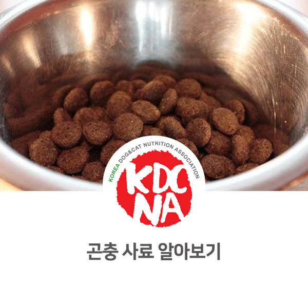  [강아지 고양이 영양 사료 정보] 펫영양사가 추천하는 곤충 단백질 사료 with 익산 나의반려_623