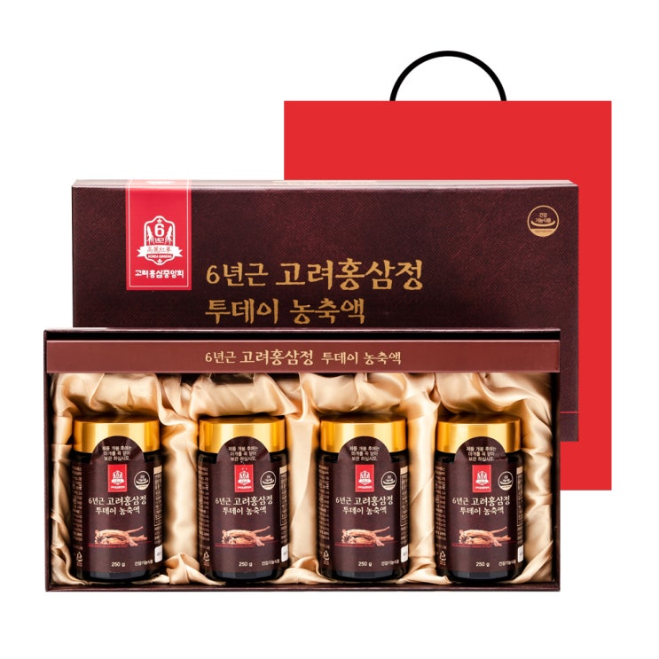  고려홍삼중앙회 6년근 고려홍삼정 투데이 농축액 4개입 + 쇼핑백, 1000g, 1세트