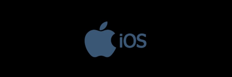  Swift iOS WKWebView : WKUIDelegate 사용설정 (코드 부분)