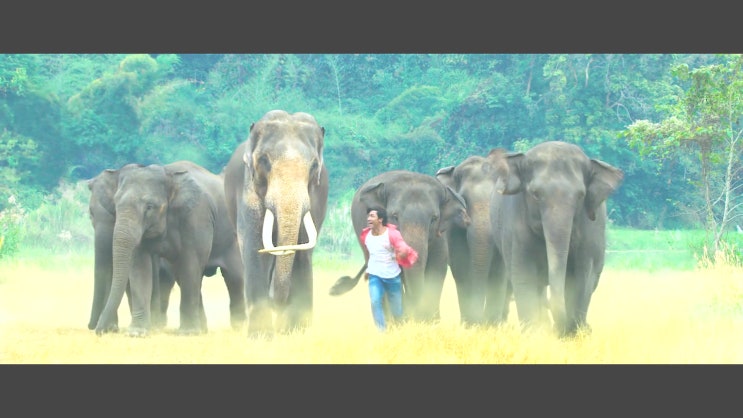(발리우드 추천 정글리)헐리웃에서 만든 인도영화 Junglee 2019-동물영화와 액션이 뒤섞인 비드윳 잠왈의 코끼리 밀렵을 지켜라~