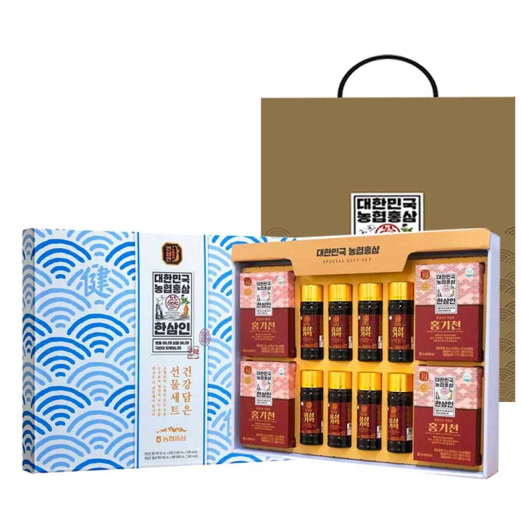  한삼인 건강담은 선물세트 + 쇼핑백, 홍기천 50ml x 20포 + 홍삼기력 100ml x 8병, 1세트
