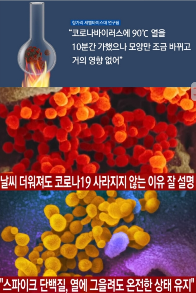  코로나 바이러스의 피지컬 실험 결과