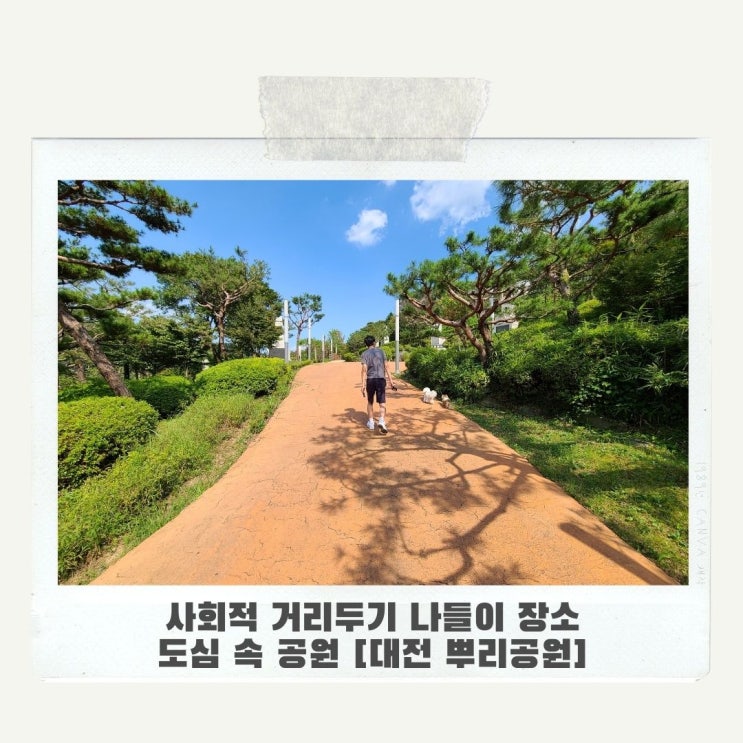  사회적 거리두기 나들이 장소 도심 속 공원 [대전 뿌리공원]