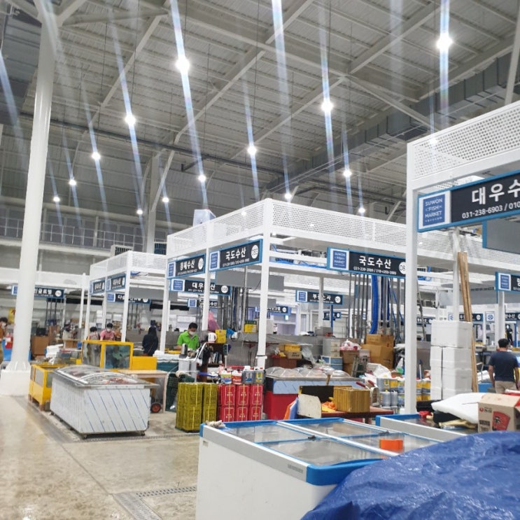  수원 농수산물 시장, 인어교주 해적단 이용한 가리비 파티!