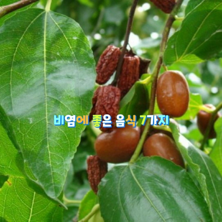  비염에 좋은 음식 7가지