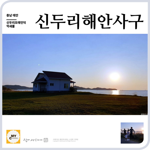  석양이 아름다운 신두리 해안사구 억새풀의 계절이 찾아왔어요