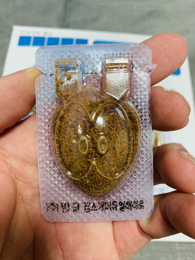  개미약 잡스 사용해서 박멸 퇴치 실제 2주 사용후기