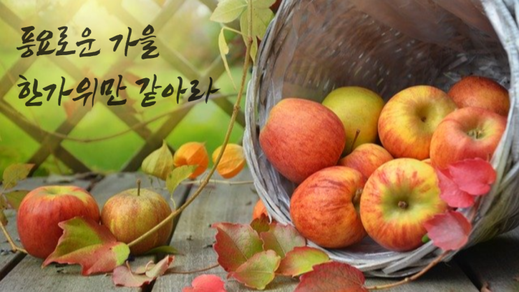  추석에 가장 받고 싶은 선물 1위는?