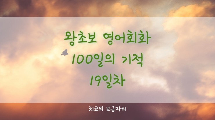  [엄마공부]왕초보 영어회화 100일의 기적 19일차
