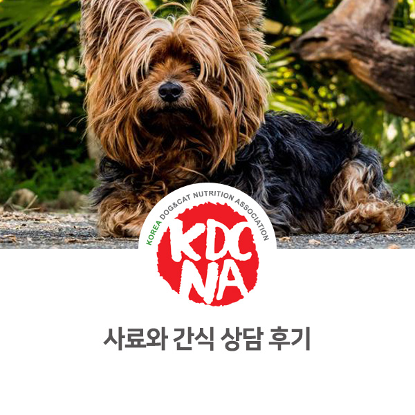  [수원 부천 펫푸드 정보] 한국반려동물영양협회 최수연 펫영양사 : 강아지 고양이 사료와 애견 간식 상담_625