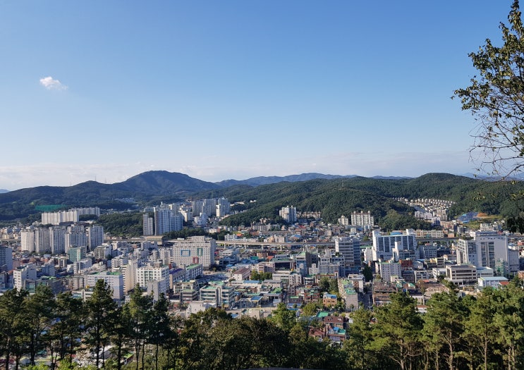 용인중앙공원 노고봉(209.5m) 정상에 오르다. 중앙공원 등산 후기~