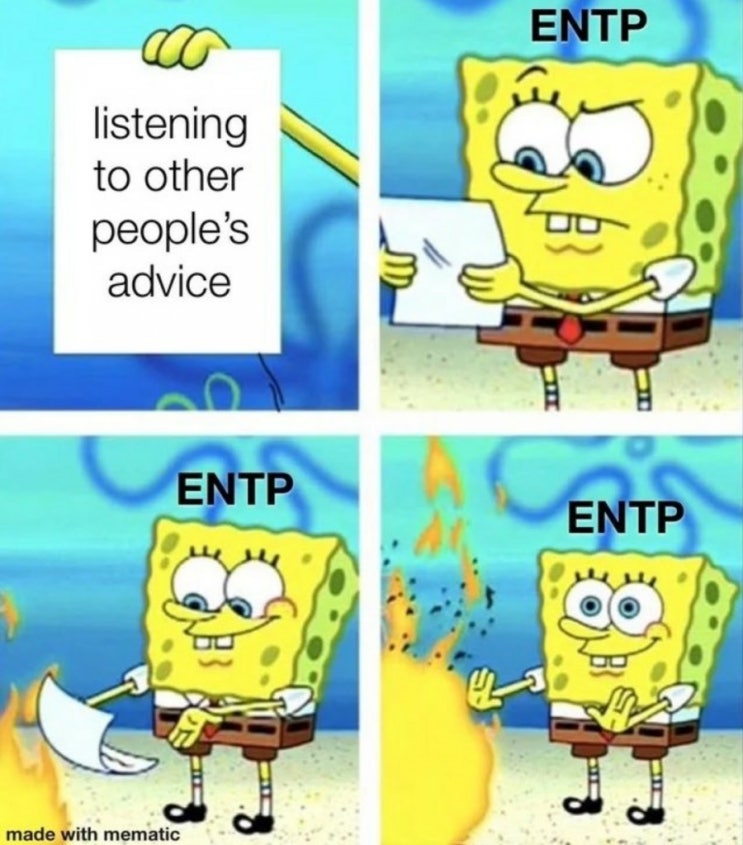  [MBTI]ENTP승무원&유튜버가 분석하는 ENTP밈/단점들
