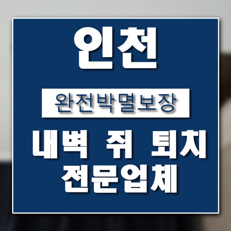  인천 벽 내부 쥐 퇴치 업체 버그헌터119입니다.