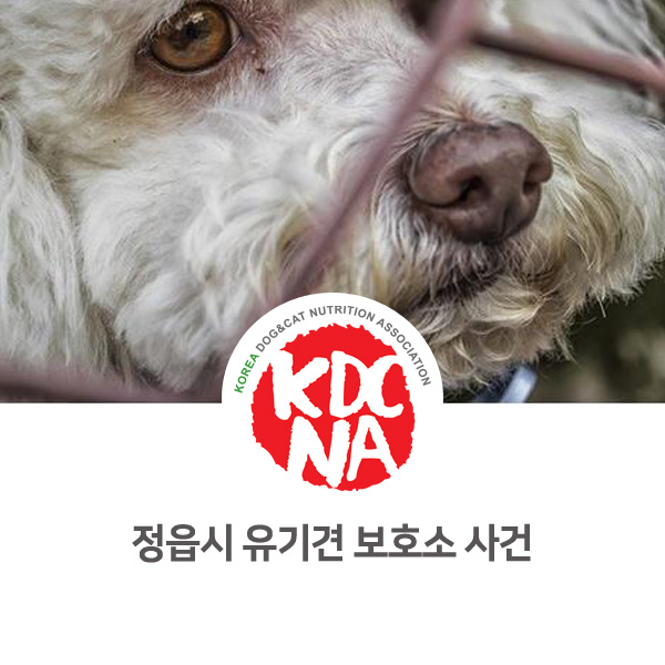 [전라북도 유기견 사건] 정읍시 강아지 고양이 보호소 이야기_622