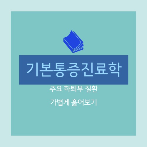  [기본통증진료학] 하퇴(장딴지) : 스트레스골절, 정강이통증,내측경골 스트레스 증후군, 아킬레스 건염, 아킬레스 건 파열, 후경골 건염, 후경골 건 파열