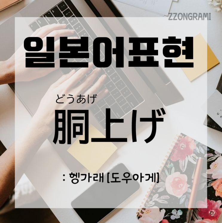 [일본어 공부] 일본어 표현 : 일본어로 '헹가래'는 무엇일까?