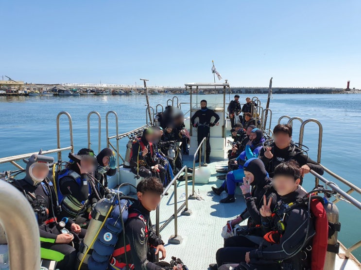  NAUI Scuba Rescue Diver 나우이 레스큐 다이버 교육 - 20200919~20