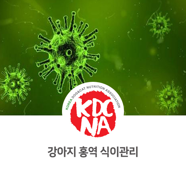  [익산 펫푸드 자격증] 나의반려 정유경 펫영양사가 알려주는 강아지 홍역(디스템퍼) 식이 관리_620