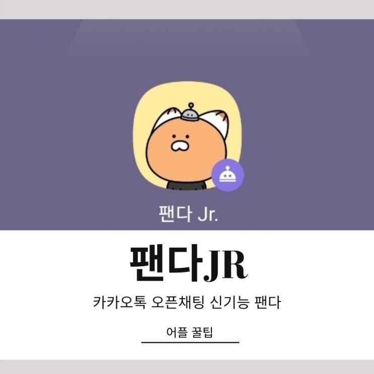 팬다jr을활용한 오픈채팅 팬다 사용법 팬다jr을활용한 오픈채팅 팬다 사용법