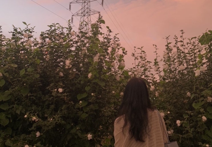  대학생 일상 38. 9월 일상기록