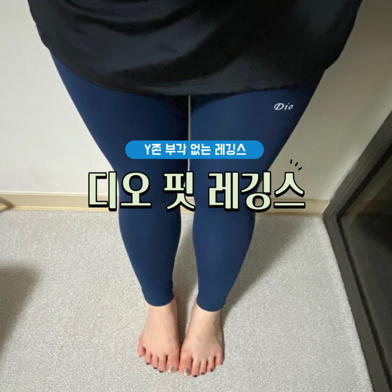 보정레깅스, Y존부각없는레깅스 : 디오 핏 레깅스 : 네이버 블로그 보정레깅스, Y존부각없는레깅스 : 디오 핏 레깅스 : 네이버 블로그