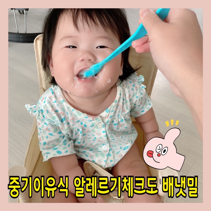  7개월 중기이유식 1단계 양 배냇밀 알레르기 확인하고 상담하기