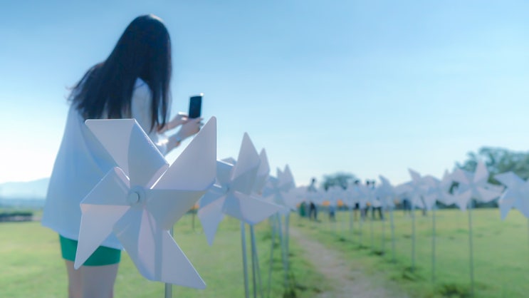  한낮에 영상 촬영하기 어렵죠? (in 연천 DMZ)