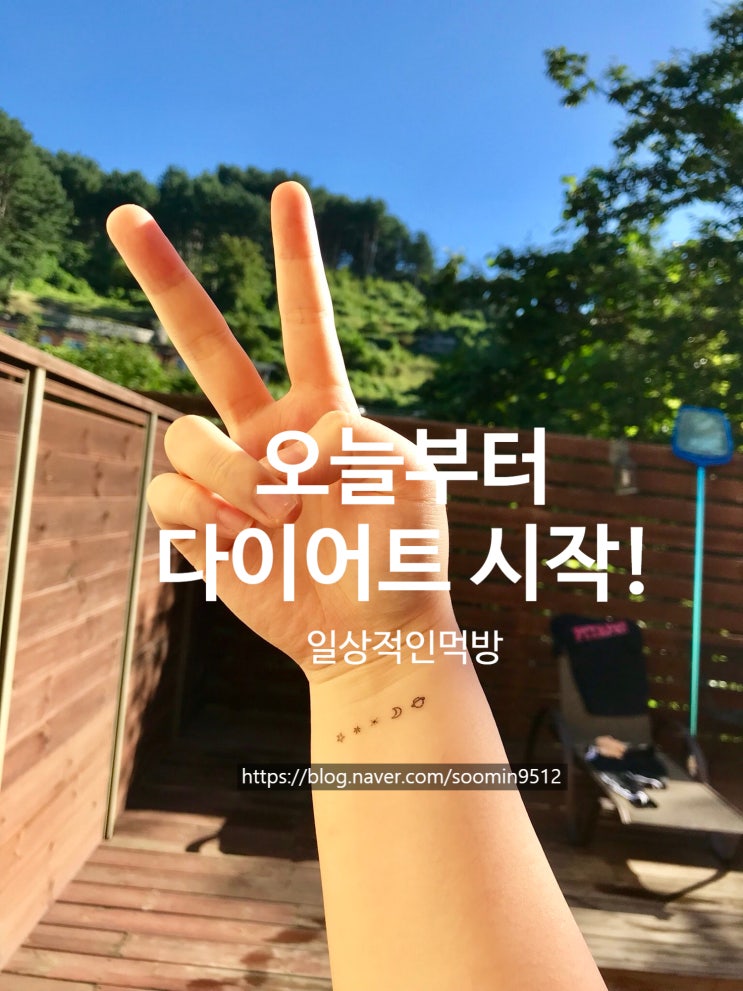  오늘부터 다이어트 시작했어요!