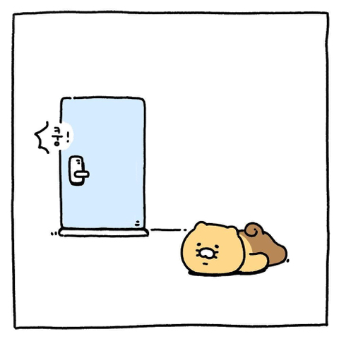  사육사 햝아주는 야옹이
