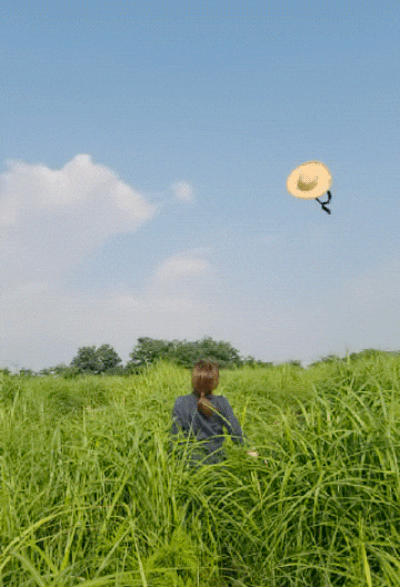 상암하늘공원 여름 풍경, 맹꽁이 전기차 탑승 가격! 상암하늘공원 여름 풍경, 맹꽁이 전기차 탑승 가격!