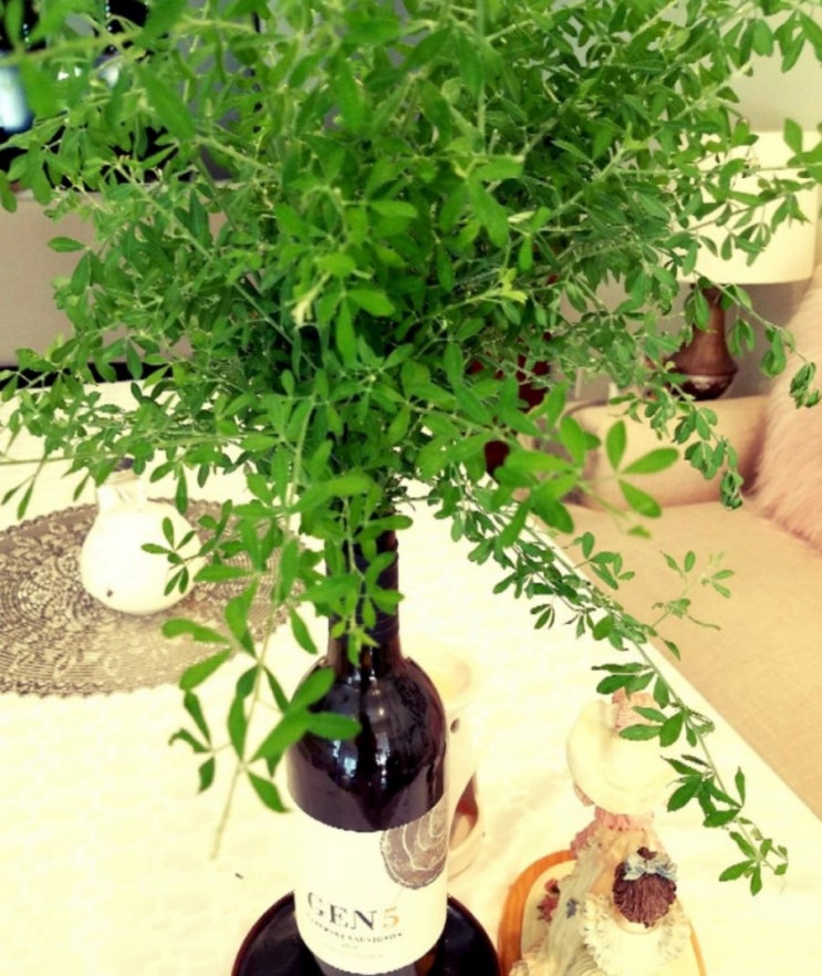  우리집 플랜테리어 보시고 쉽게 생각하셨으면 좋겠어요^^