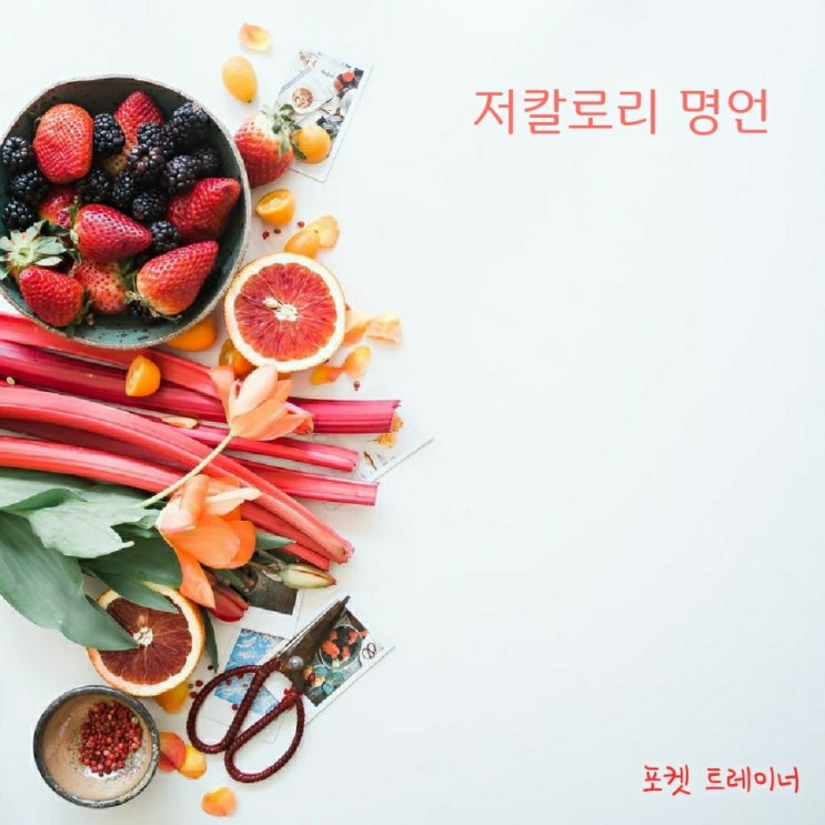  [저칼로리 명언] 다이어트 동기부여 "당신이 '할 거라고' 말하는 일 말고, 당신이 '하는' 일이 당신이다. _카를 융