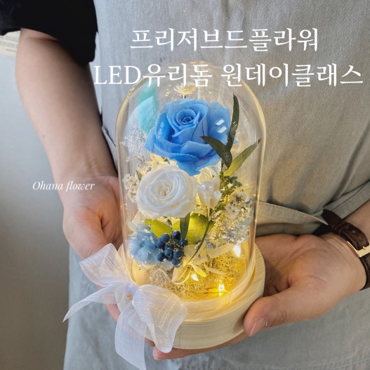  기적의 블루 프리저브드 로즈를 담은 LED유리돔 원데이클래스 후기  :: 부산 수영 해운대 플라워스튜디오 Ohanaflower