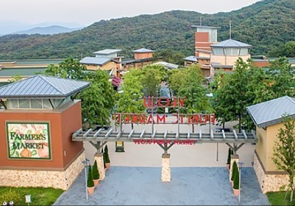 여주 아웃렛 나이키 남성용 코트로 열 탭 M 스니커즈 여주 아웃렛 나이키 남성용 코트로 열 탭 M 스니커즈