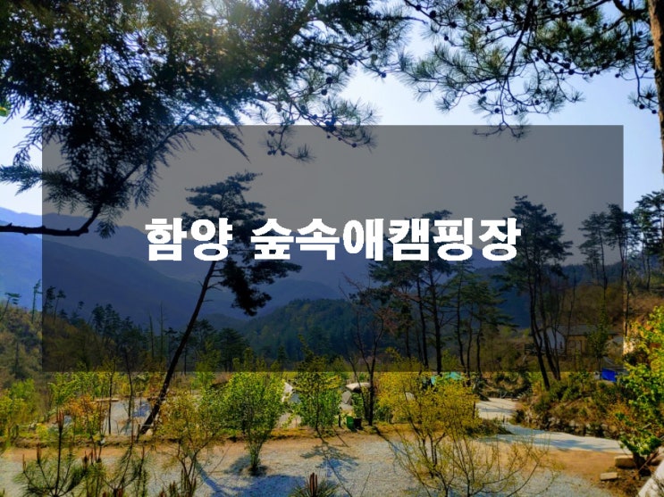  함양 숲속애캠핑장 구석구석 알아보기