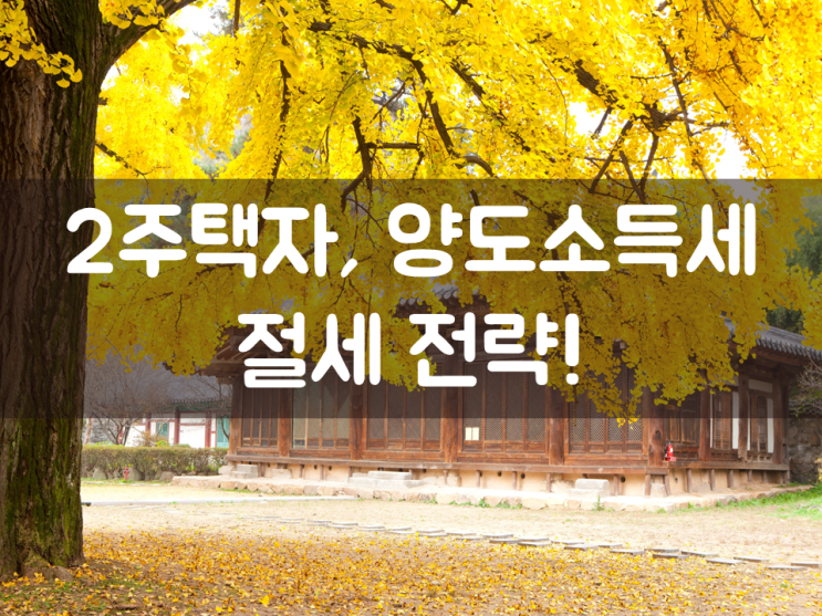 2주택자, 양도소득세 절세 전략!