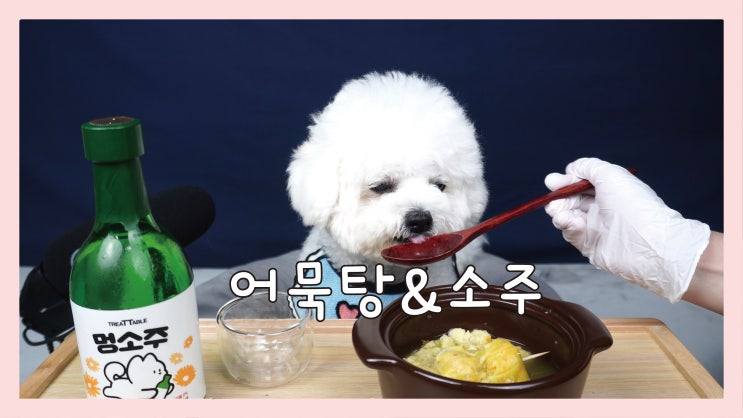  어묵탕 멍소주 강아지 수제간식 펫푸드 만들기
