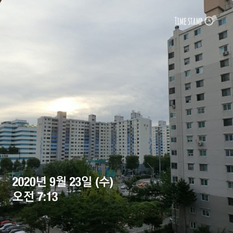  미라클모닝 6일차 / 운동과 식이는 병행해야 한다.