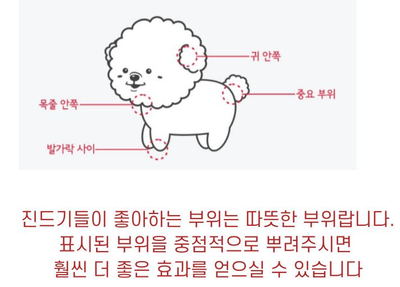  강아지 진드기 퇴치제 성분 알아보고 사용하세요