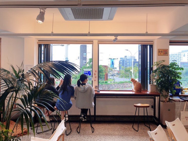  제주도카페  제로포인트트레일 제로스테이션